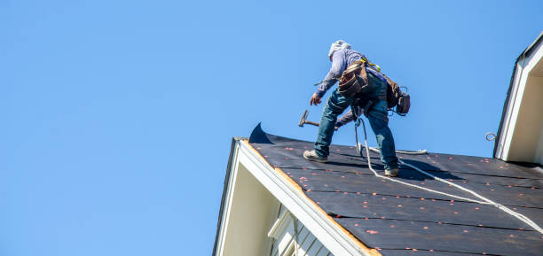 Best Roof Waterproofing Services  in New Market, MD